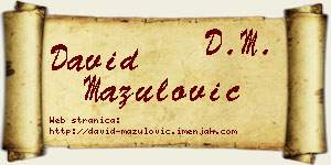 David Mazulović vizit kartica